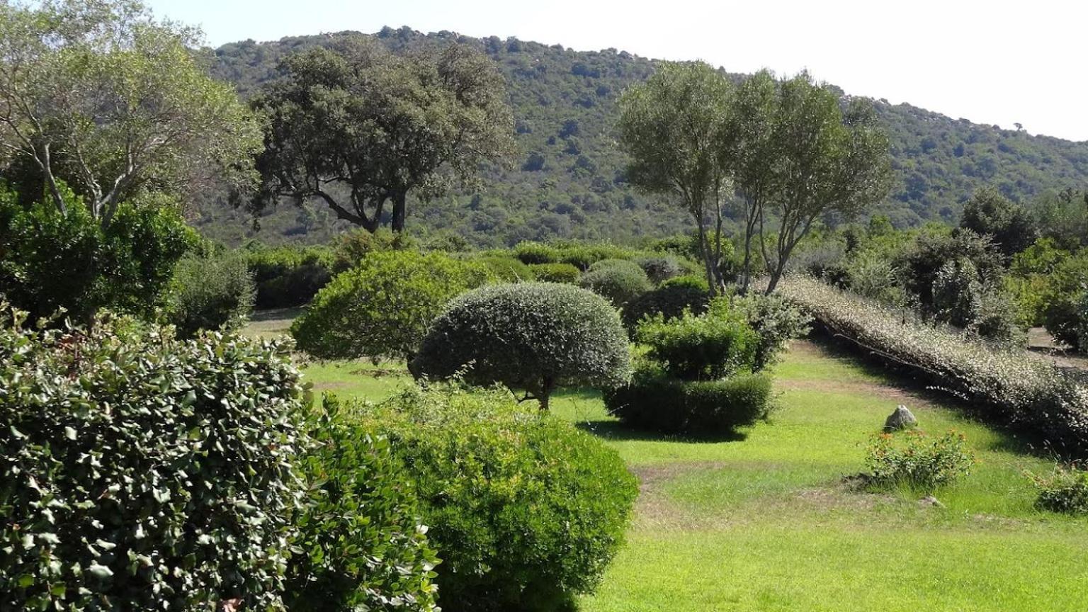 Les Hauts De Santa Giulia Porto-Vecchio  Exteriör bild